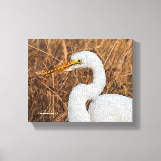 Elegant Great Egret in the Reeds Canvas Print (Front)
