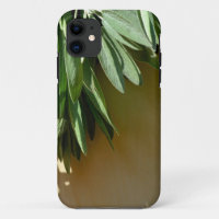 Elegant green botanical leaves Fresh-cut herbs