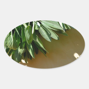 Elegant green botanical leaves Fresh-cut herbs Oval Sticker