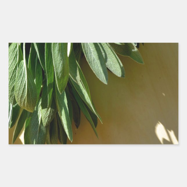 Elegant green botanical leaves Fresh-cut herbs Sticker (Front)