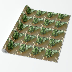 Elegant green botanical leaves Fresh-cut herbs Wrapping Paper