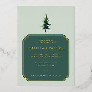 Elegant Green Evergreen Tree