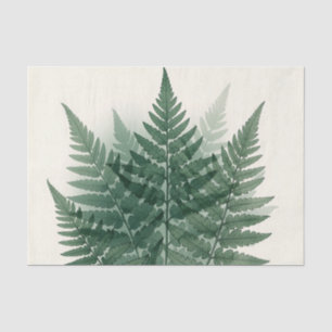 Elegant Green Fern Fronds Botanical Tissue Paper