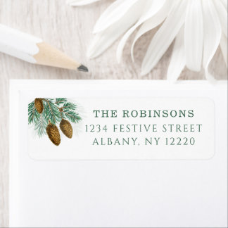 Elegant green pine branches with  pinecones