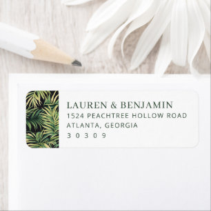 Elegant Green Tropical Palm