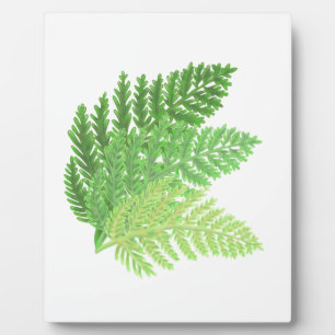 Elegant green watercolor ferns woodland leaves plaque