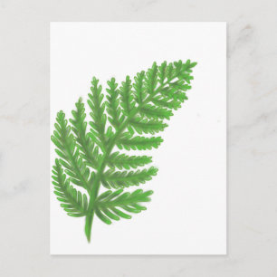 Elegant green watercolor ferns woodland leaves postcard