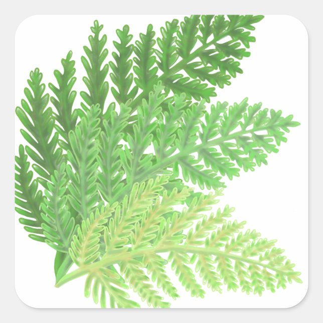 Elegant green watercolor ferns woodland leaves square sticker (Front)