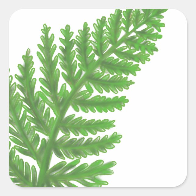 Elegant green watercolor ferns woodland leaves square sticker (Front)