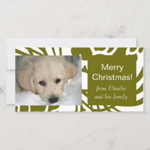 Elegant Green White Dog Christmas Photo Cards