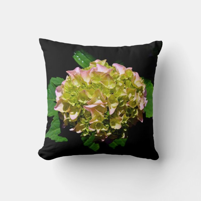 Elegant green yellow pink Hydrangea flowers Throw Pillow (Front)