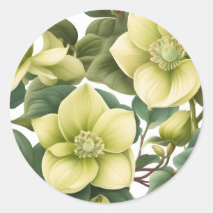 Elegant Hellebore Flowers Classic Round Sticker