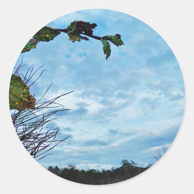 Elegant Holly Christmas,  blue sky Classic Round Sticker (Front)