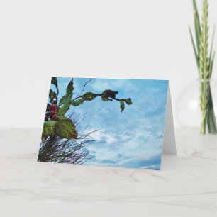 Elegant Holly Christmas,  blue sky Holiday Card