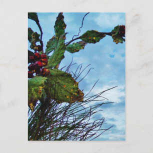 Elegant Holly Christmas,  blue sky Holiday Postcard