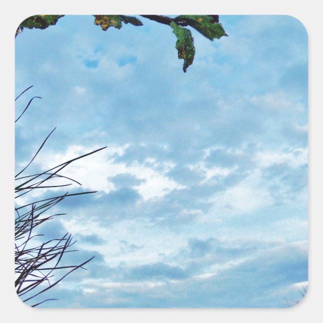 Elegant Holly Christmas,  blue sky Square Sticker (Front)