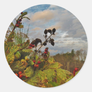 Elegant Holly Christmas, Classic Round Sticker