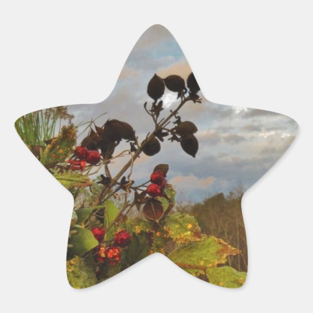 Elegant Holly Christmas, Star Sticker (Front)