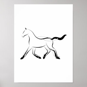 Elegant horse in black colour poster