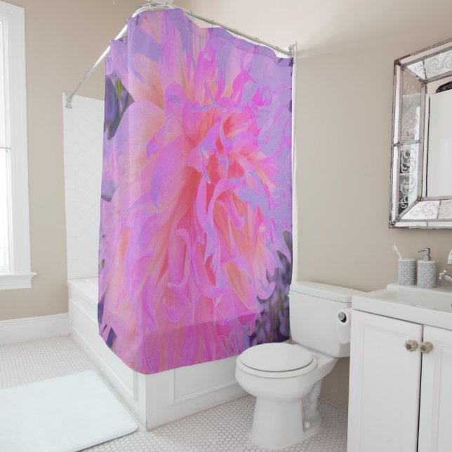 Elegant Hot Pink and Magenta Decorative Dahlia (In Situ)