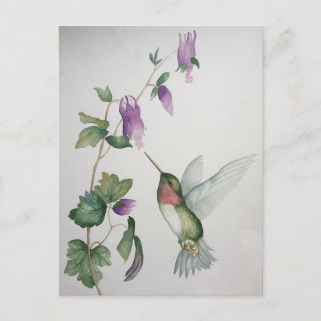 Elegant Hummingbird Garden Watercolor Postcard (Front)