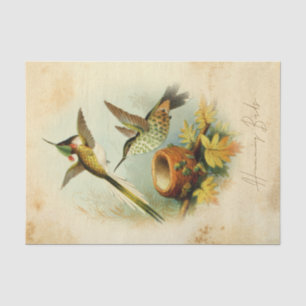 Elegant Hummingbirds Tissue Paper