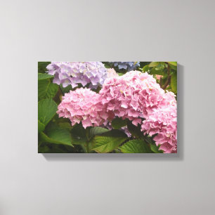 Elegant Hydrangeas Canvas Print
