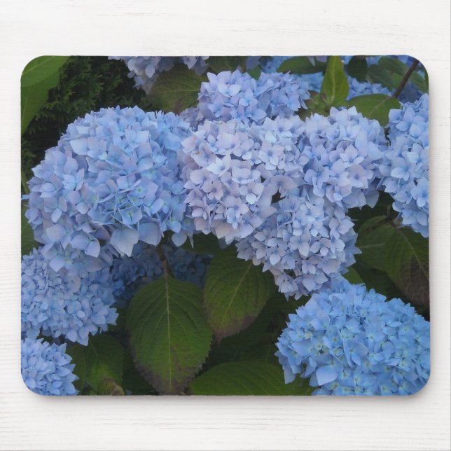 Elegant Hydrangeas Mouse Pad (Front)