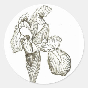 Elegant Iris Classic Round Sticker