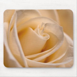 Elegant Ivory Rose Mouse Pad