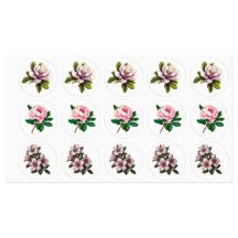 Élégant jeu de stickers Étiquette de fleurs roses
