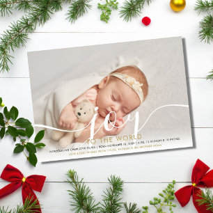 Elegant Joy to the World Holiday New Baby Photo