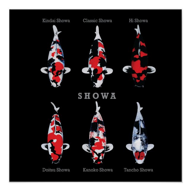Elegant Koi Fish Poster – Timeless & Artistic Deco (Front)