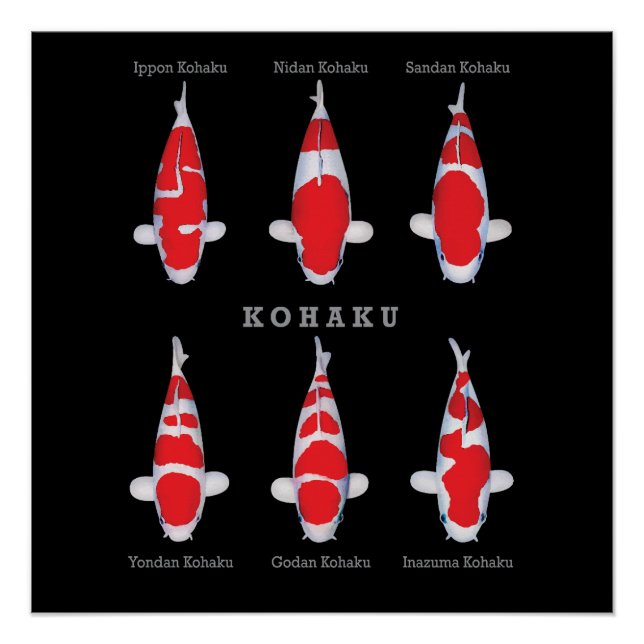 Elegant Koi Fish Poster – Timeless & Artistic Deco (Front)