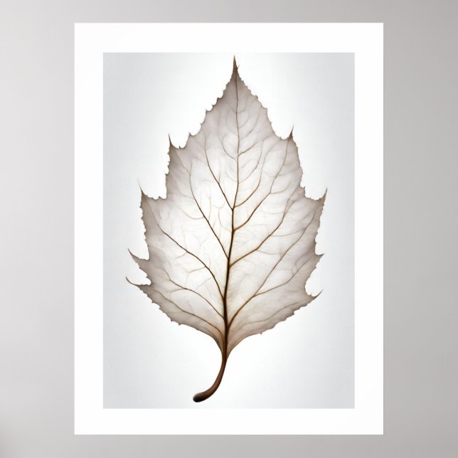 Elegant Leaf Natures Vein Artprint Poster (Front)