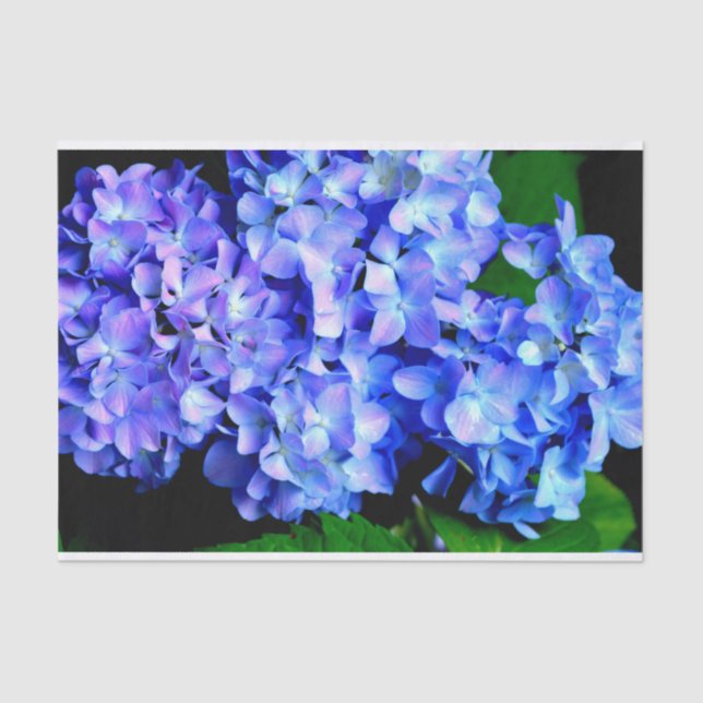 Elegant light purple blue magenta floral hydrangea tissue paper (Front)