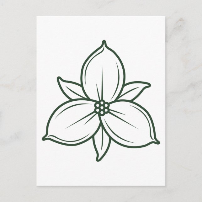 elegant linear trillium flower design postcard (Front)
