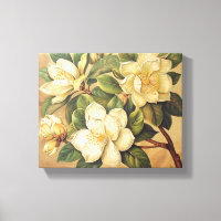 Elegant Magnolia Blossoms Wall Art