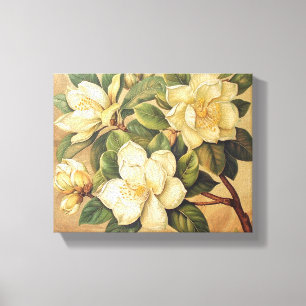 Elegant Magnolia Blossoms Wall Art