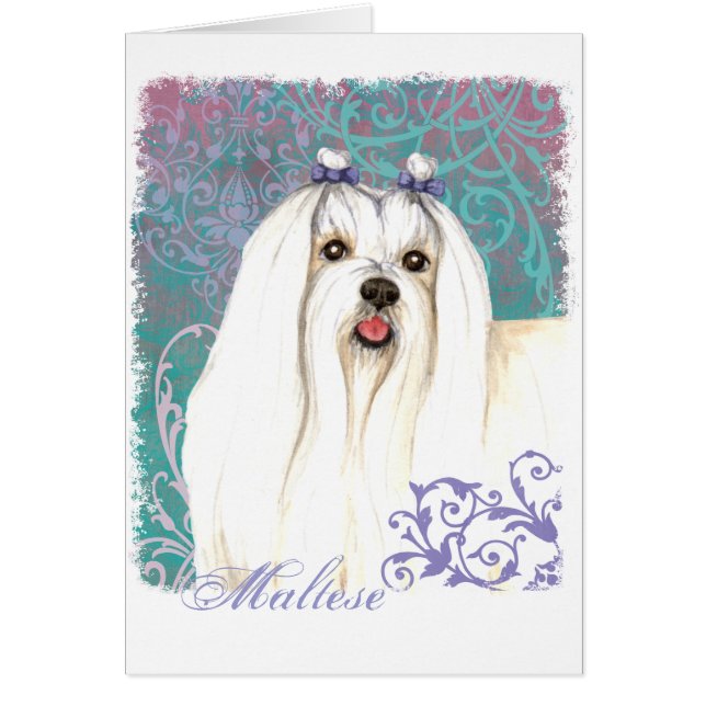 Elegant Maltese Card (Front)