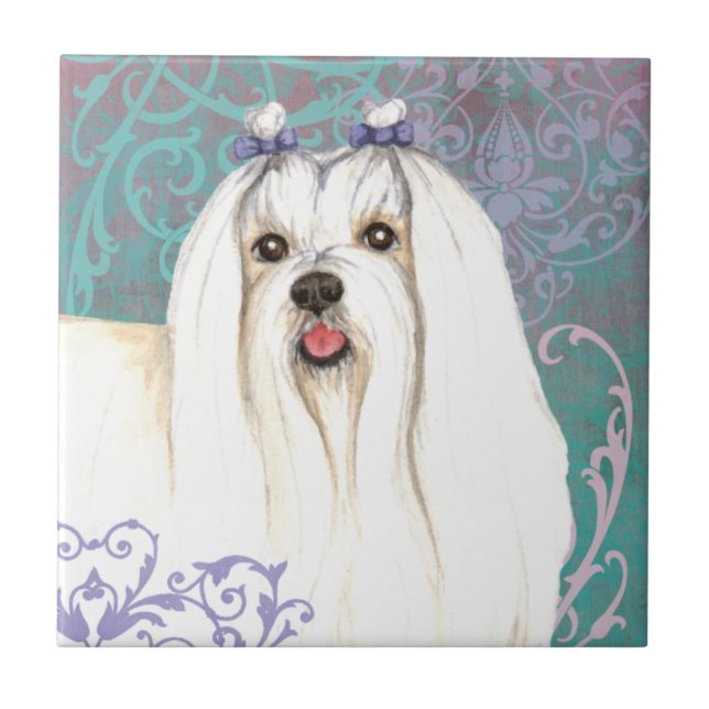 Elegant Maltese Tile (Front)