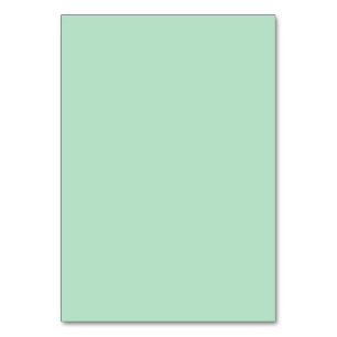 Elegant Mint Green Table Card