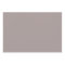 Elegant Modern Alabaster Taupe Grey Solid Colour
