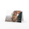Elegant Modern Calligraphy Wedding Photo Fold