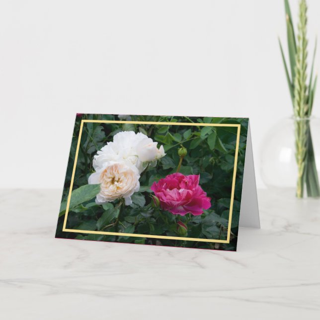 Elegant Modern Cream Pink Roses Photo Golden Frame Card (Front)
