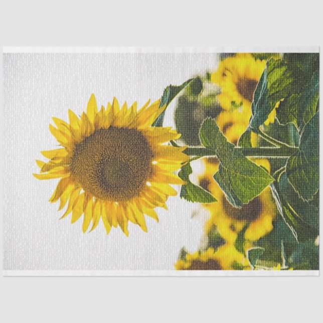 Elegant Modern Floral Tissue Paper (Front)