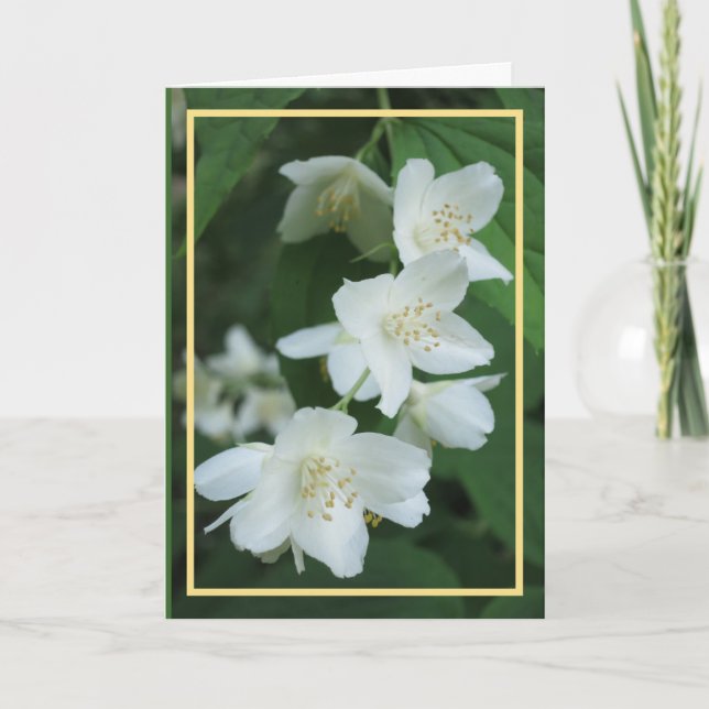 Elegant Modern Jasmine Flowers Photo Golden Frame Card (Front)