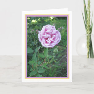 Elegant Modern Pink Purple Rose Photo Gold Frame Card