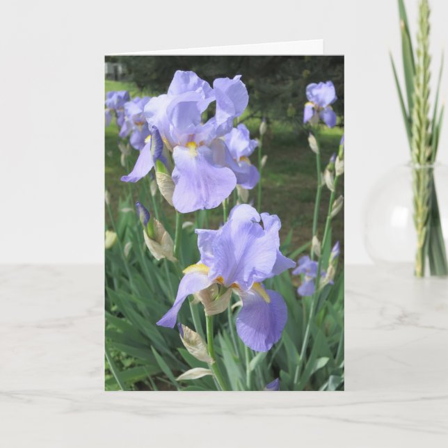 Elegant Modern Purple Iris Flowers Photo Get Well Card (Front)