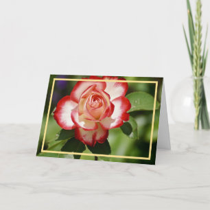 Elegant Modern Red White Rose Flower Golden Frame Card